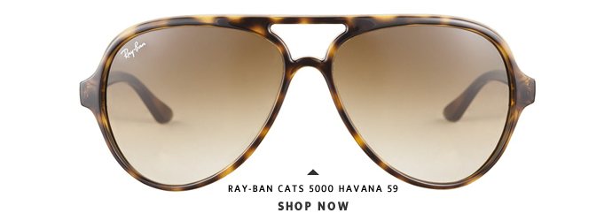 Ray-Ban 4125 710 51 Cats 5000 Havana 59